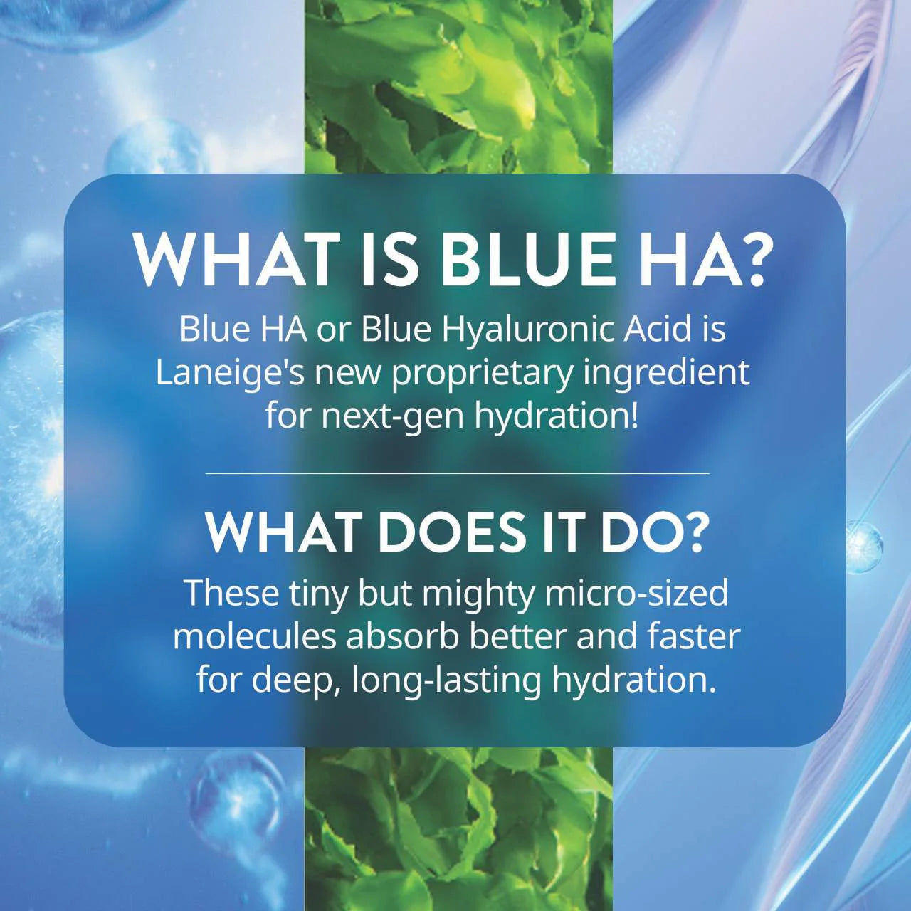 LANEIGE 
Water Bank Blue Hyaluronic Exfoliating Toner